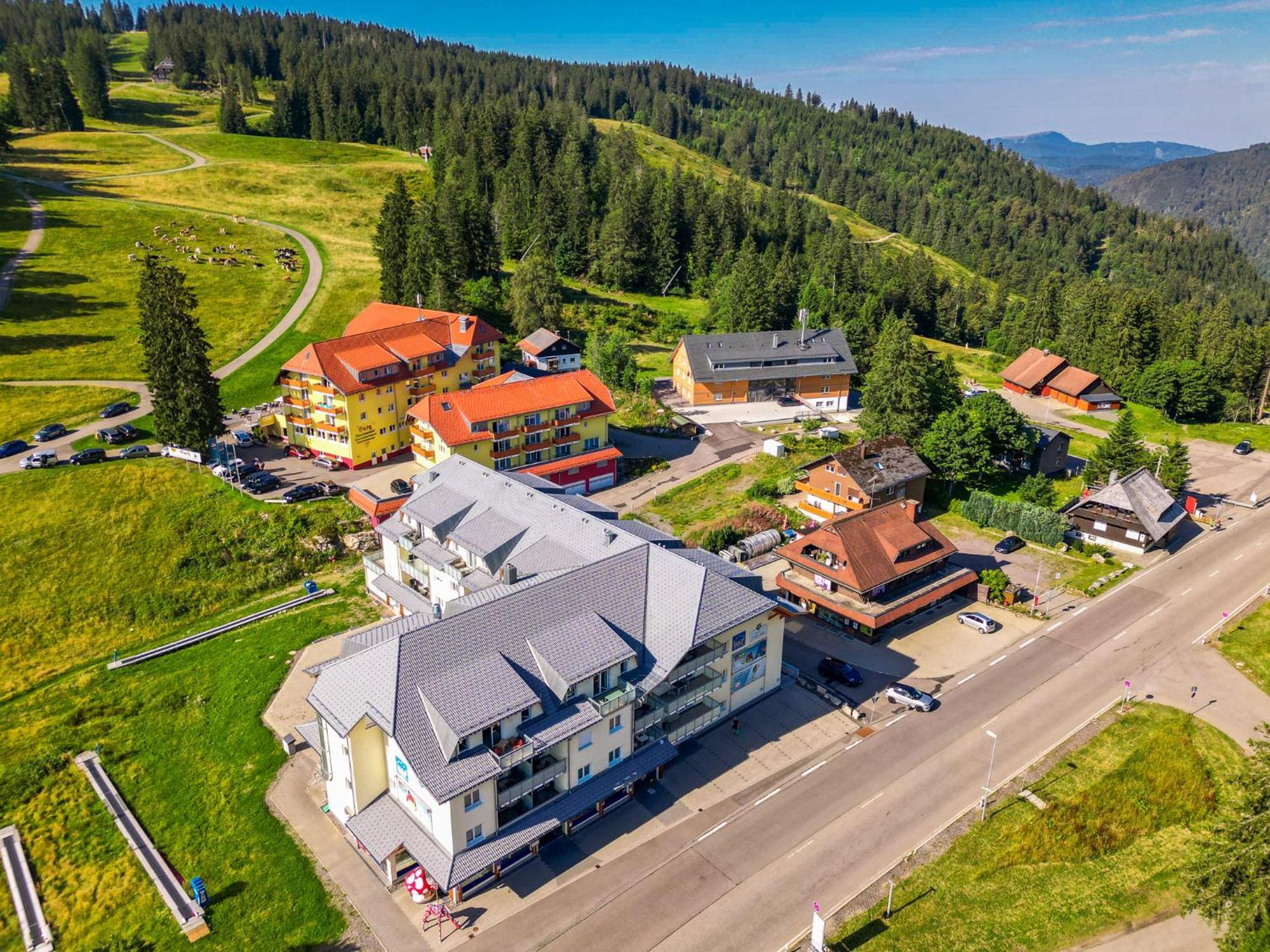 RinkenFeldberg Domizil - Residenz Grafenmatt公寓 外观 照片